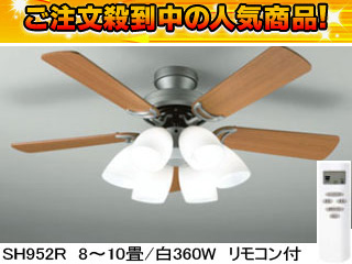 �y�ň��l�ɒ��풆�I�z�����R���t�V�[�����O�t�@��SH952R
