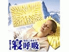45803   �ċz���閍�u�Q�ċz�i�˂邱���イ)�v �y����������萔�������̈��S���i�z