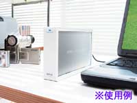 HDC-U250 250GB 外付けハードディスク