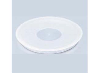 313479 �V�[�����b�h 20cm �yT�z