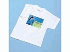 JP-TPRSET17