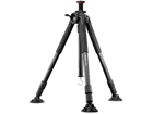Auctus Plus 323CT�@�y����������萔�������I�z�y�A�N�^�X�v���X�z