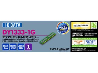 DY1333-1G (DDR3 PC3-10600 1GB)