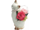 ���[�Y�L���b�g�i�v���U�[�u�h�t�����[�j/SY080610/�s���N