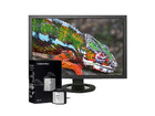 i1Display Pro with ColorEdge CG243W-BBK(�t�[�h�t) KGG1305-BBK