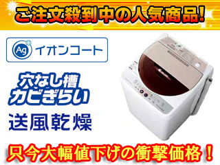 �y�撅1�����I�z�y�ň��l�ɒ��풆�I�zES-FG55J-C(�x�[�W���n) Ag+�C�I���R�[�g