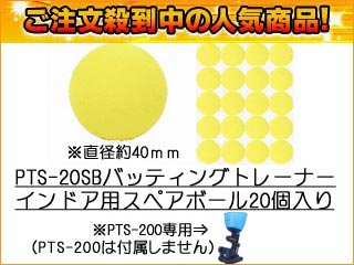 PTS-20SB�@�o�b�e�B���O�g���[�i�[�E�C���h�A�p�{�[���@�Q�O������