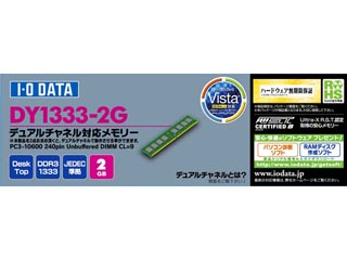 DY1333-2G ���݃����� 2GB