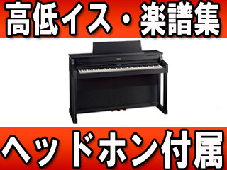 �f�W�^���s�A�m HP307-SBS �T�e���u���b�N�d�グ�y���������z