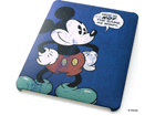 RT-DPA1A/MK iPad �f�B�Y�j�[�L�����N�^�[�V�F���W���P�b�g/�~�b�L�[