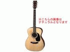 �y�A���A�E�h���b�h�m�[�g�M�^�[�z�@AF-280TBS�i�^�o�R�u���E���T���o�[�X�g�j �y����������萔�������z