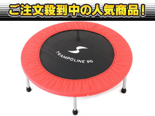�y����l�C���i�I�zSINTEX(�V���e�b�N�X) STT-074�@�g�����|����96
