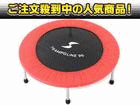 �y����l�C���i�I�zSINTEX(�V���e�b�N�X) STT-074�@�g�����|����96