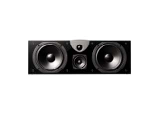 【クリックで詳細表示】audio pro/オーディオプロ BLACKVECTURV2(1本)