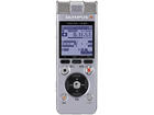 DS-800-SLV�i�V���o�[�j�@Voice Trek/�{�C�X�g���b�N(DS800)�yolympusIC�z