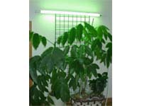 SLG-20WG/14�i�O���[���j