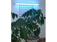 �y����l�C���i�I�zSLG-20WB/14�i�u���[�j