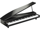 �}�C�N���s�A�m micro PIANO BK