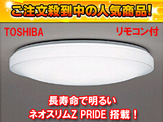 �y5�����I�z�y5/31���ח\�蕪�I�zFVH94701RP �X�����V�[�����O���C�g