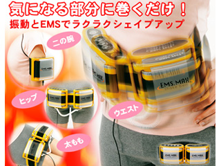 EMS.MAX.�V�F�C�N�x��(�C�G���[)