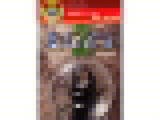 遊遊 むしとり2