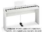 FP-4 WH�i FP4 �z���C�g�j �y����������萔�������̈��S���i�z
