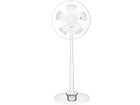 �y�䐔��������z EF-30SM5-H(�N���A�O���[)  �}�C�R����@