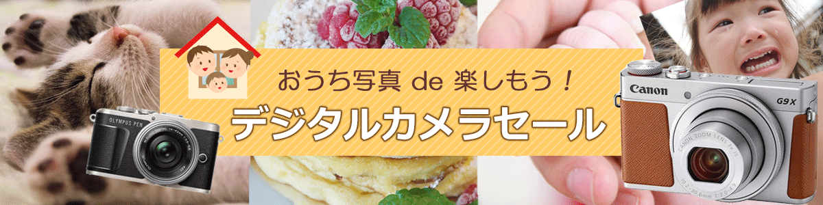 �f�W�^���J���� 11���N�L�O�Z�[��