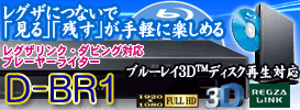 ���� ���O�U���C�^�[ D-BR1