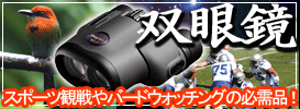 �X�|�[�c�ϐ��o�[�h�E�H�b�`���O�̕K���i�I�o�ዾ