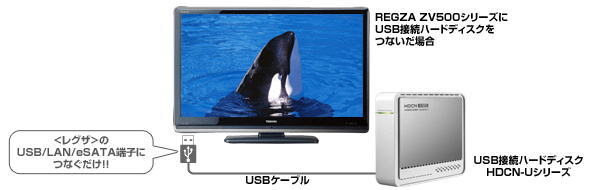 REGZA�ƃl�b�g���[�N�Őڑ�