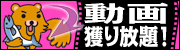 Web Video Downloader
