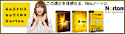 Norton Internet Security 2010