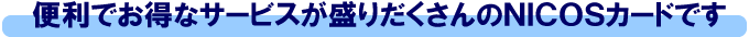 �֗��ŃI�g�N�ȃT�[�r�X���肾������̃j�R�X�J�[�h�ł�