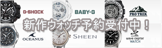 CASIO�V��E�I�b�`�\���t���I