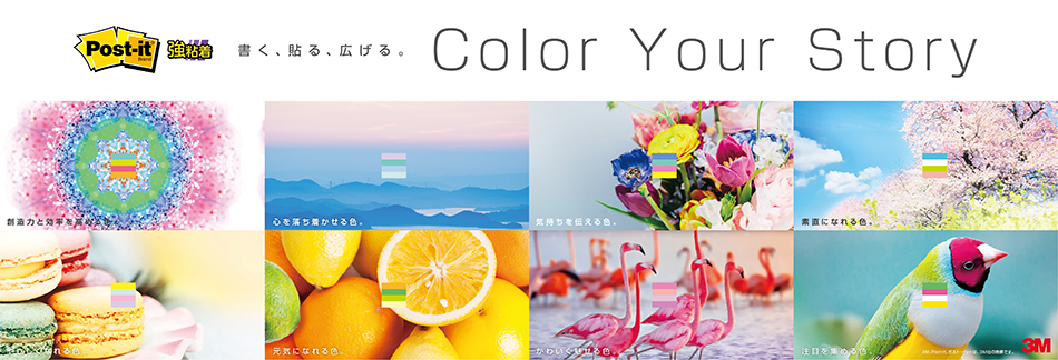 A\ALBColor Your Story.