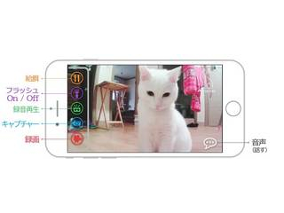 コミュニケーション型 遠隔給餌システム petSTATION(ペット コミュニケーション型 遠隔給餌システム petSTATION(ペット