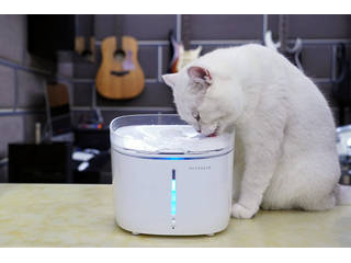 z^X}[g(ELpj FrescoPro Smart Pet Fountain FSW010