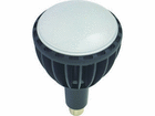 LED GRrbN100W E39 F Ch L100W-E39J-WBK-50K