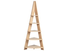 le series R[i[bN NWS-560NA