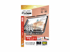 LEPLUS NEXT iPad 10.9inch (10) یtB E ˖h~E LN-ITM22FLMTPD