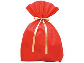 В BIG 75~100cm }`L  1P 50-3951