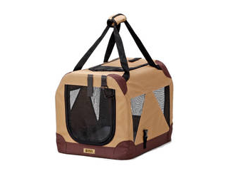 �e���g�L�����[���C�g S