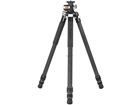 VEO 3+ 303CT I[COrLbg _Ȃ J[{