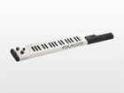 VKB-100@{[JChL[{[h