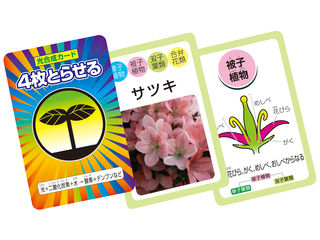 植物のなかまカードゲーム 00 ムラウチドットコム