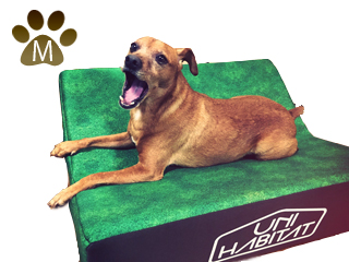 Upb 27m Sb ゲルに挟まるやわらかベッド M 芝生柄 ムラウチドットコム