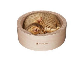 �K���K���T�[�N�� �X�N���b�`���[ �C���e���A �~���x�[�W��