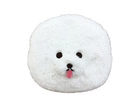 Aj}|[` DOG zCg A41-20