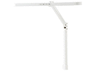 ECOLEDY GRfB  F LED[hRg[A[Cg Nv ECL-611